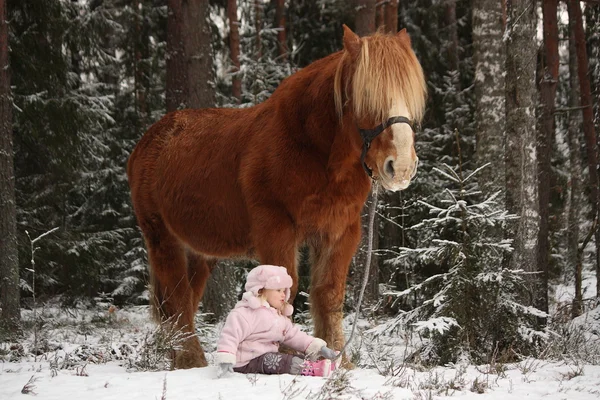 Piccola ragazza seduta nella neve e grande cavallo palomino in piedi n — Foto Stock