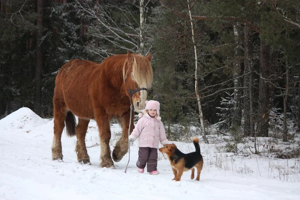 Cute little girl leading big draught horse in winter — Stock Photo, Image