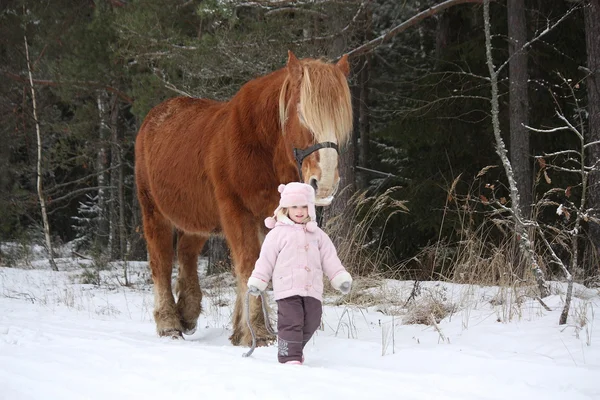 Cute little girl leading big draught horse in winter — Stock Photo, Image