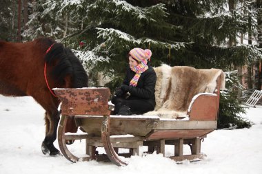 Teenager girl sitting in the sled with furs and brown horse  clipart