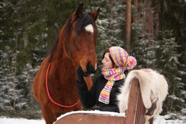 Teenager girl sitting in the sled with furs and brown horse  clipart