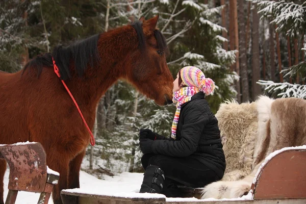 Teenager-Mädchen sitzt im Schlitten mit Pelzen und braunem Pferd — Stockfoto