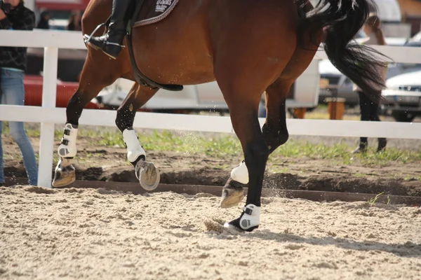 Cantering pernas de cavalo perto — Fotografia de Stock