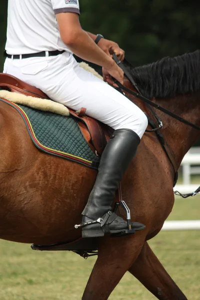 Κοντινό πλάνο αθλητικός τύπος κάθεται πάνω στο άλογο — Φωτογραφία Αρχείου