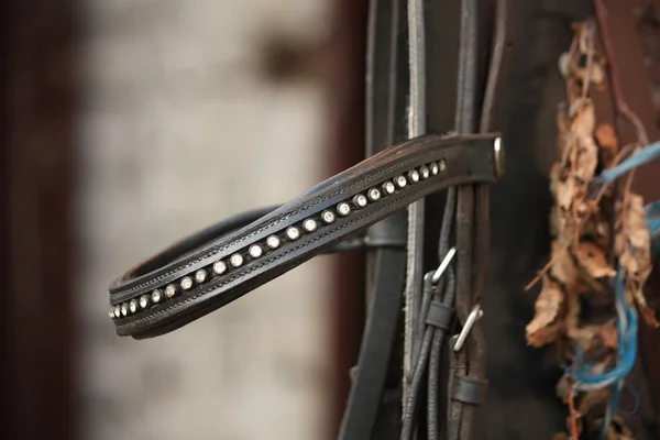Gros plan de bride de cheval en cuir — Photo