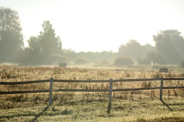 Çiftlik çit yaz sabahın