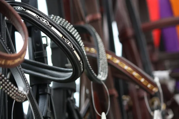 Primer plano de las bridas de caballo en la tienda — Foto de Stock