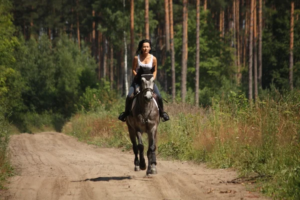 Krásná žena na koni šedý kůň v lese — Stock fotografie