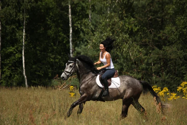 Красива жінка верхи на сірому коні в лісі Стокова Картинка