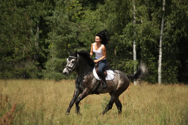 骑灰色马在森林里的美丽女子 图库图片