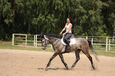 Güzel kadın binicilik gri at