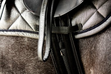 Close up of black leather saddle on horse back clipart