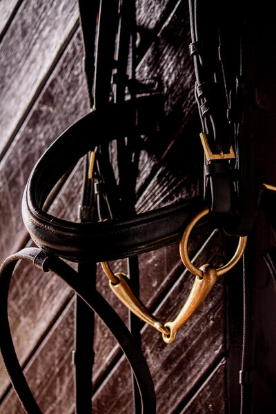 Close up of black leather bridle with brass bit