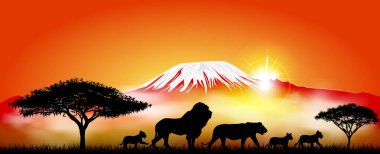 Lions ailesi. Aslan, aslan ve aslan yavruları Kilimanjaro Dağı 'nın arka planına karşı. Afrika aslanlarının siluetleri.