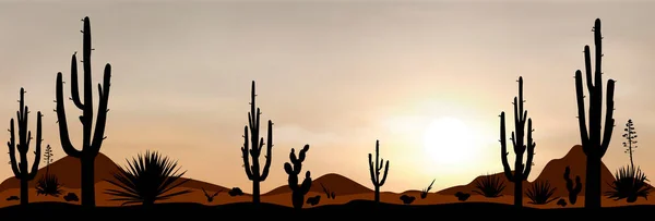 Pôr Sol Deserto Mexicano Silhuetas Pedras Cactos Plantas Paisagem Deserto — Vetor de Stock