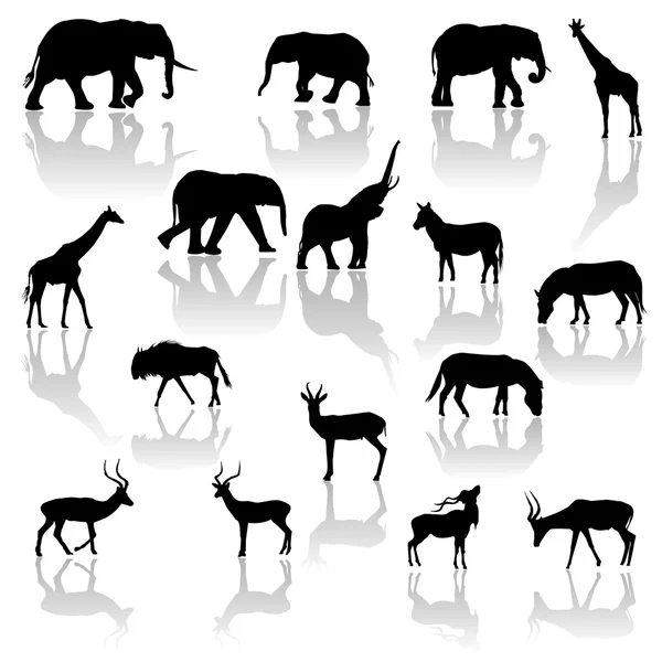 非洲的动物 — 图库矢量图片