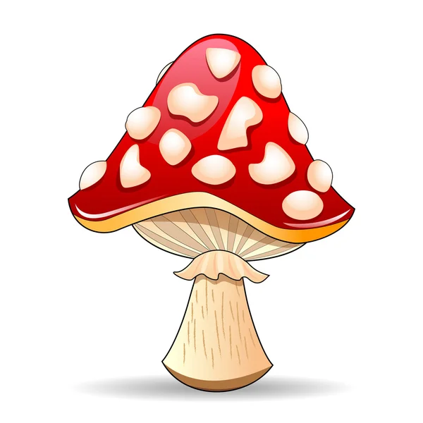 蘑菇；蘑菇 — 图库矢量图片