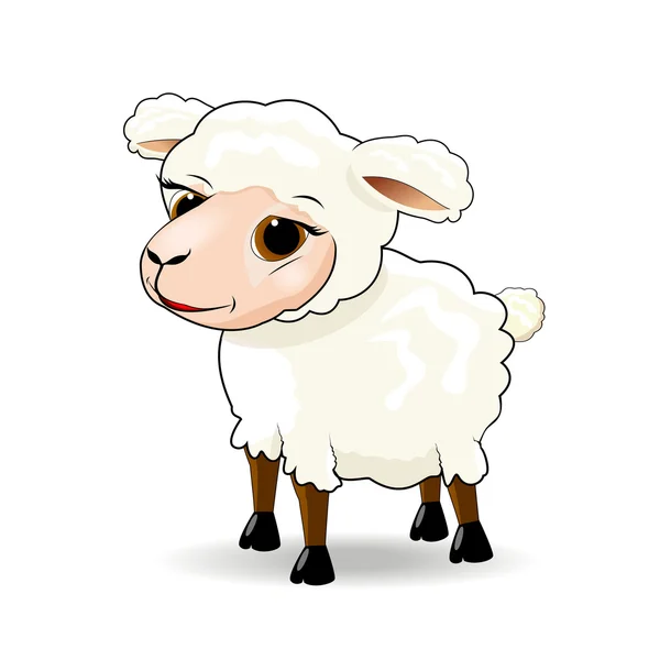 Owce. Cute owiec — Wektor stockowy