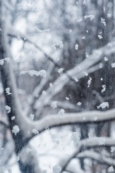 Pencere camına üşenmeden. — Stok fotoğraf