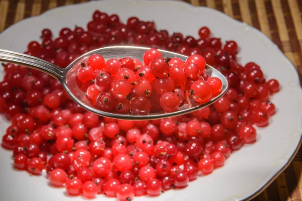 Red currant in a spoon. No. 2. — Stock Photo, Image