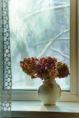 Dışarıda soğuk gün.