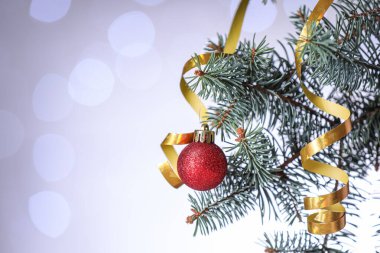 Bulanık ışıklara karşı dekorlu Noel ağacı dalı