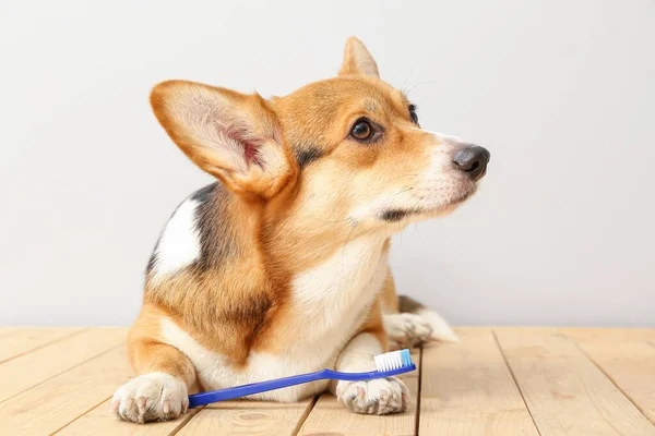 Cute Dog Tooth Brush Light Background — Stock Photo, Image