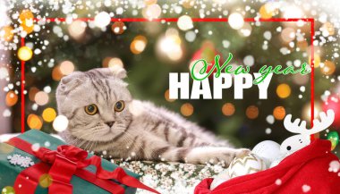 Şirin kedisi olan güzel yeni yıl tebrik kartı