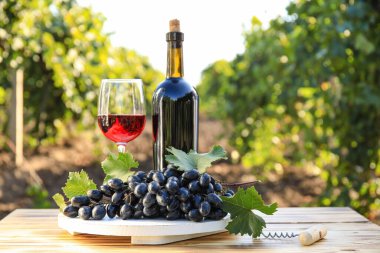 Üzüm bağındaki masada lezzetli şarap ve olgun üzümler.