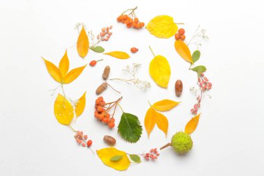 Beyaz arkaplanda güzel sonbahar kompozisyonu