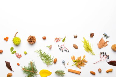 Beyaz arkaplanda güzel sonbahar kompozisyonu