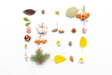 Beyaz arkaplanda güzel sonbahar kompozisyonu