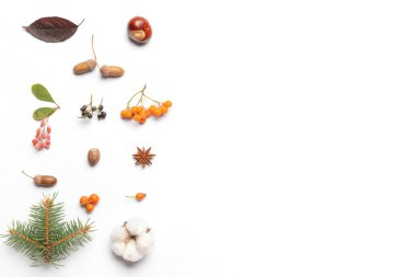 Beyaz arkaplanda güzel sonbahar kompozisyonu