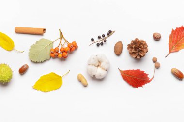 Beyaz arkaplanda güzel sonbahar kompozisyonu