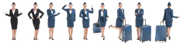 Collage Beautiful Stewardess White Background — Stock Photo, Image