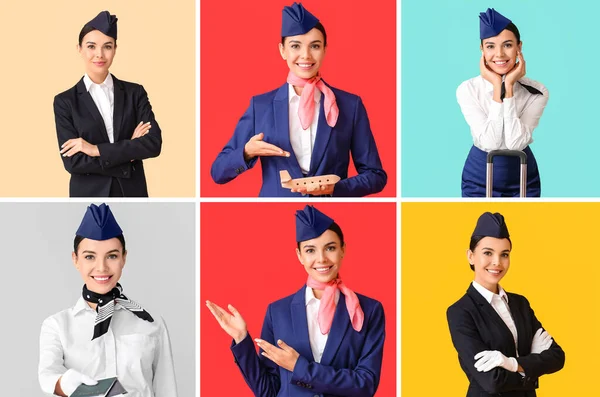 Collage Von Schönen Stewardess Auf Farbigem Hintergrund — Stockfoto