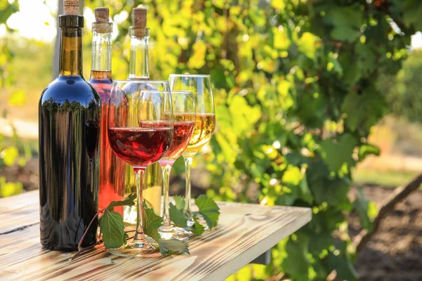 Verres Bouteilles Différents Vins Sur Table Dans Vignoble — Photo