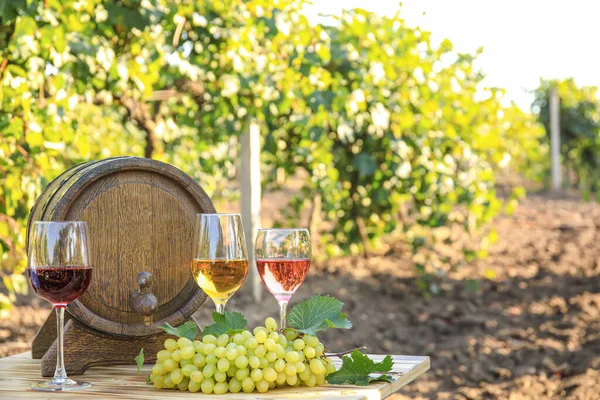 Vin Savoureux Raisins Mûrs Sur Table Dans Vignoble — Photo