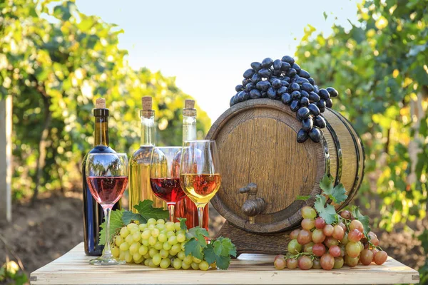 Lekkere Wijn Rijpe Druiven Tafel Wijngaard — Stockfoto