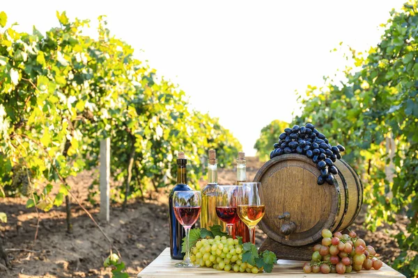 Leckerer Wein Und Reife Trauben Auf Dem Tisch Weinberg — Stockfoto