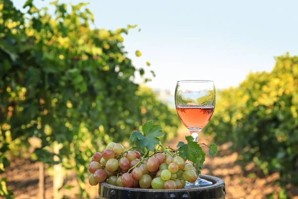 Fass Glas Wein Und Reife Trauben Weinberg — Stockfoto