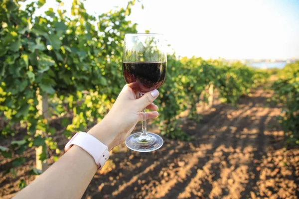 Woman Glass Tasty Wine Vineyard — Stock Photo, Image