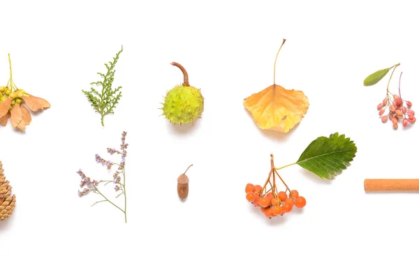 stock image Beautiful autumn composition on white background