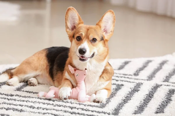 Cute Dog Toy Home — Stock Photo, Image