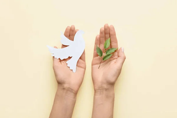 Female Hands Paper Dove Olive Branch Color Background International Day — Stock Photo, Image