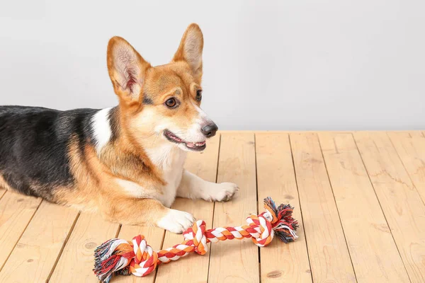 Cute Dog Toy Home — Stock Photo, Image