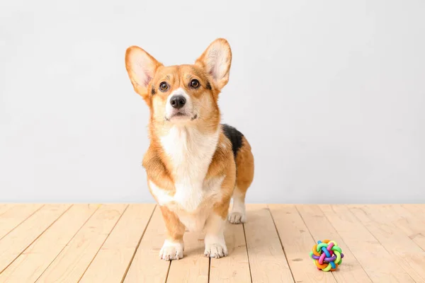 Cute Dog Toy Light Background — Stock Photo, Image