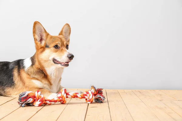 Cute Dog Toy Light Background — Stock Photo, Image