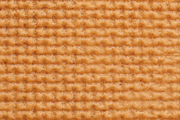 Textura Biscoito Gengibre Saboroso Close — Fotografia de Stock