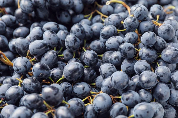 Sweet Ripe Grapes Background — Stock Photo, Image